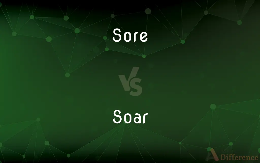 Sore vs. Soar — What's the Difference?