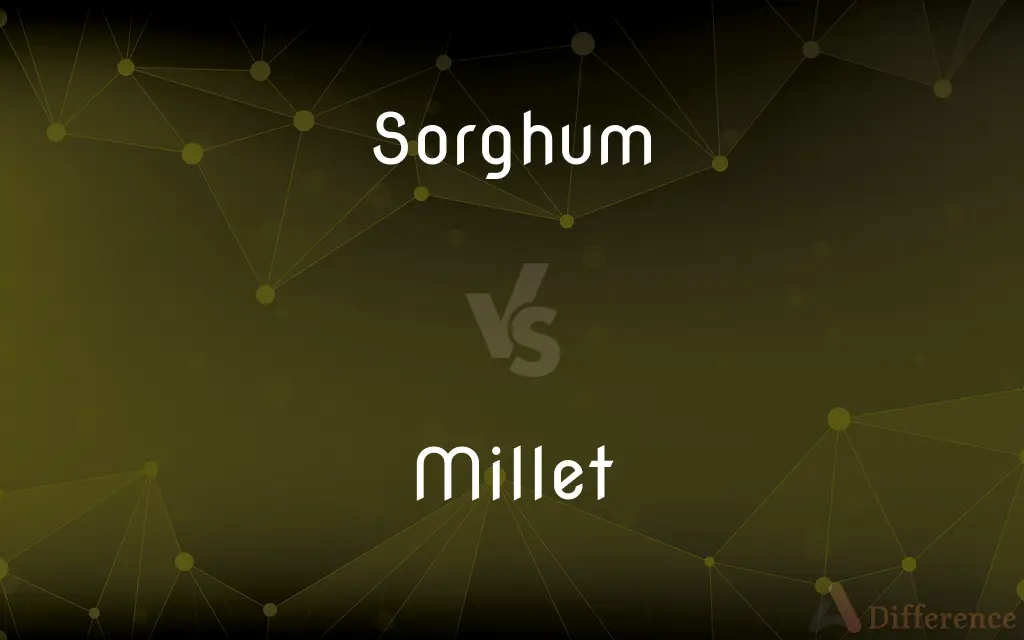 Sorghum vs. Millet — What's the Difference?