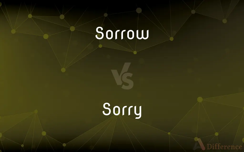 Sorrow vs. Sorry — What's the Difference?