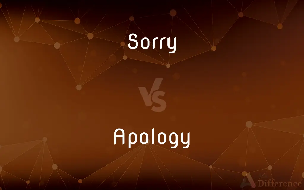 Sorry vs. Apology — What's the Difference?