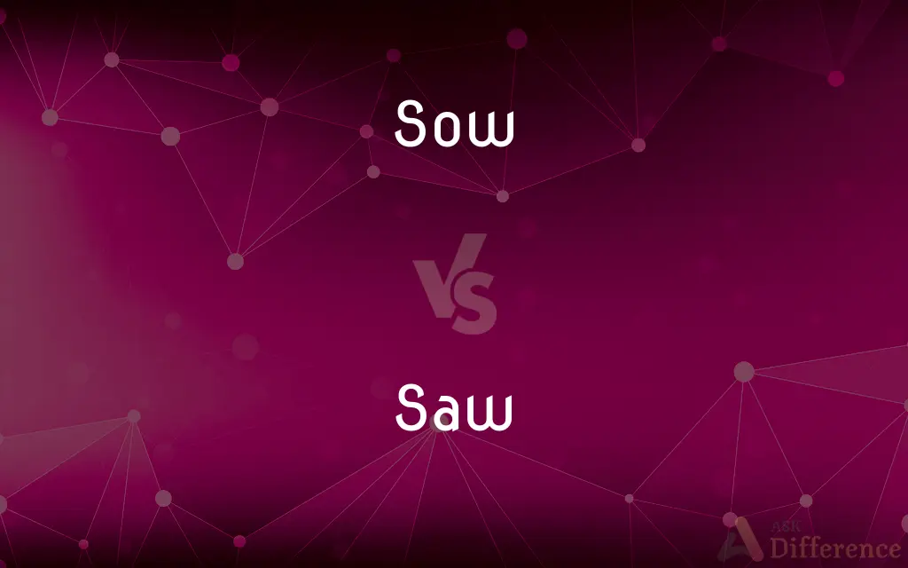 Sow vs. Saw — What's the Difference?