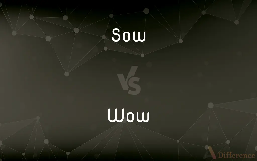 Sow vs. Wow — What's the Difference?