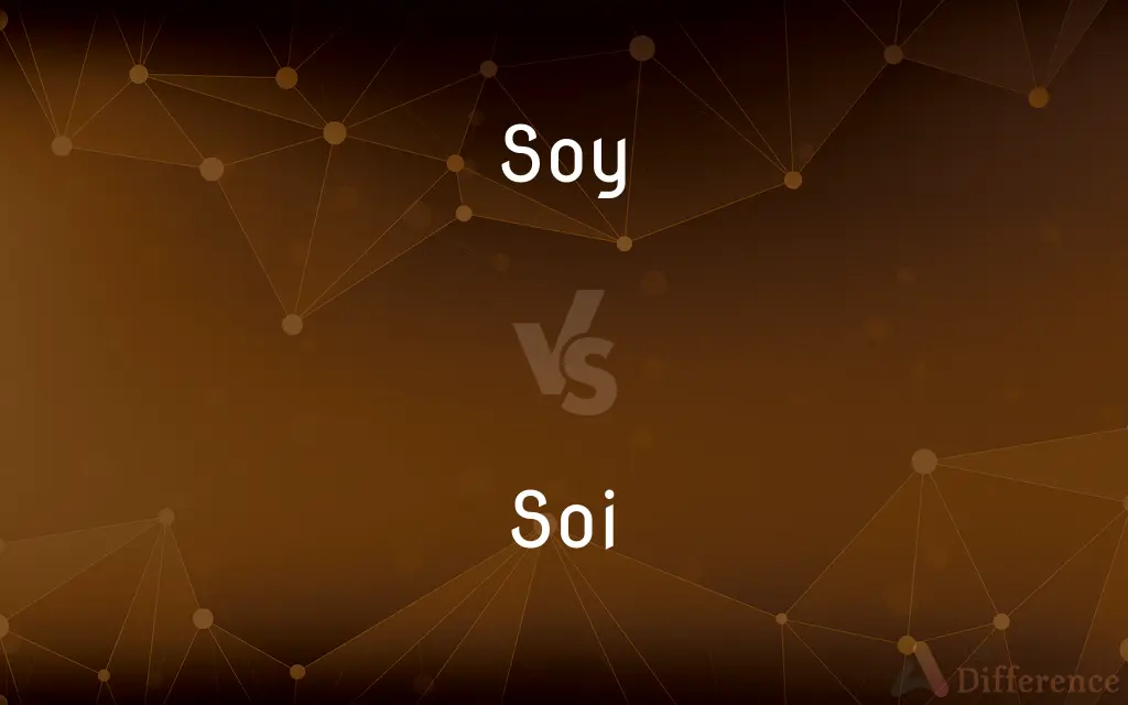 Soy vs. Soi — What's the Difference?