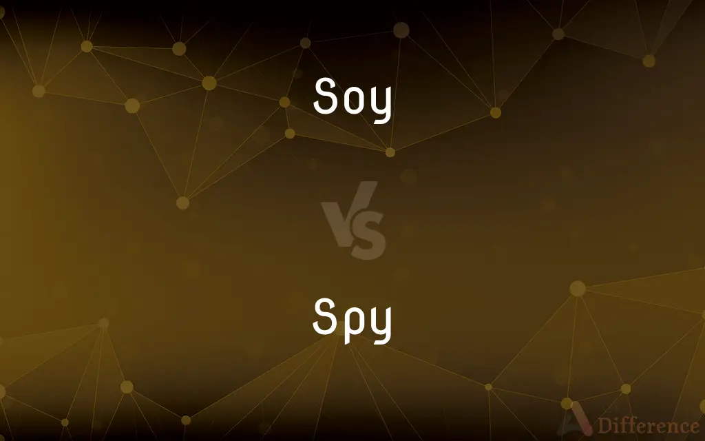 Soy vs. Spy — What's the Difference?