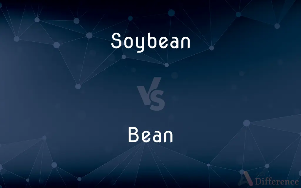 Soybean vs. Bean — What's the Difference?