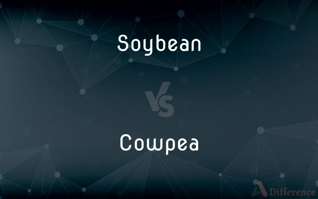 Soybean vs. Cowpea — What's the Difference?