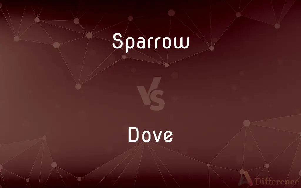 Sparrow vs. Dove — What's the Difference?