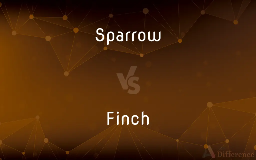 Sparrow vs. Finch — What's the Difference?