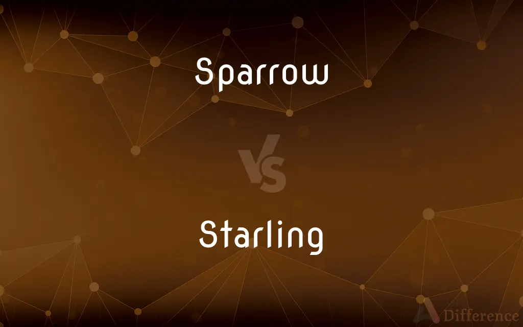 Sparrow vs. Starling — What's the Difference?