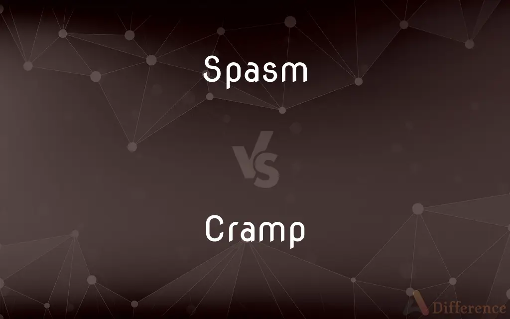 Spasm vs. Cramp — What's the Difference?