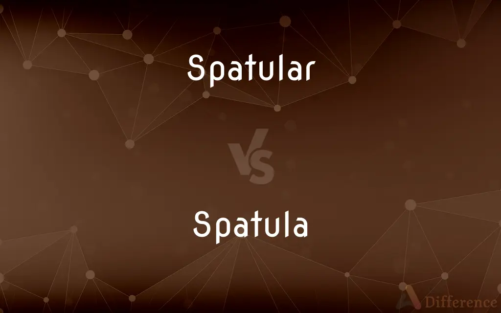 Spatular vs. Spatula — What's the Difference?