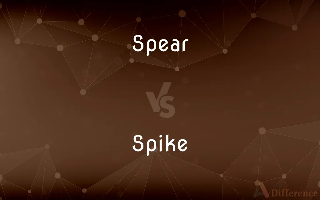 Spear vs. Spike — What's the Difference?