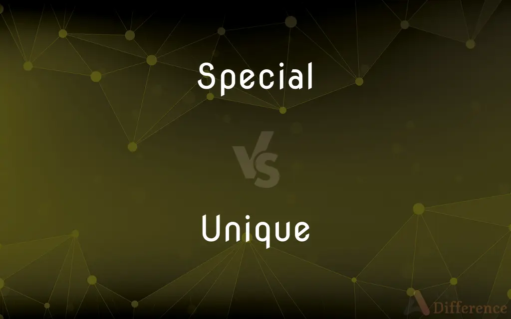 Special vs. Unique — What's the Difference?