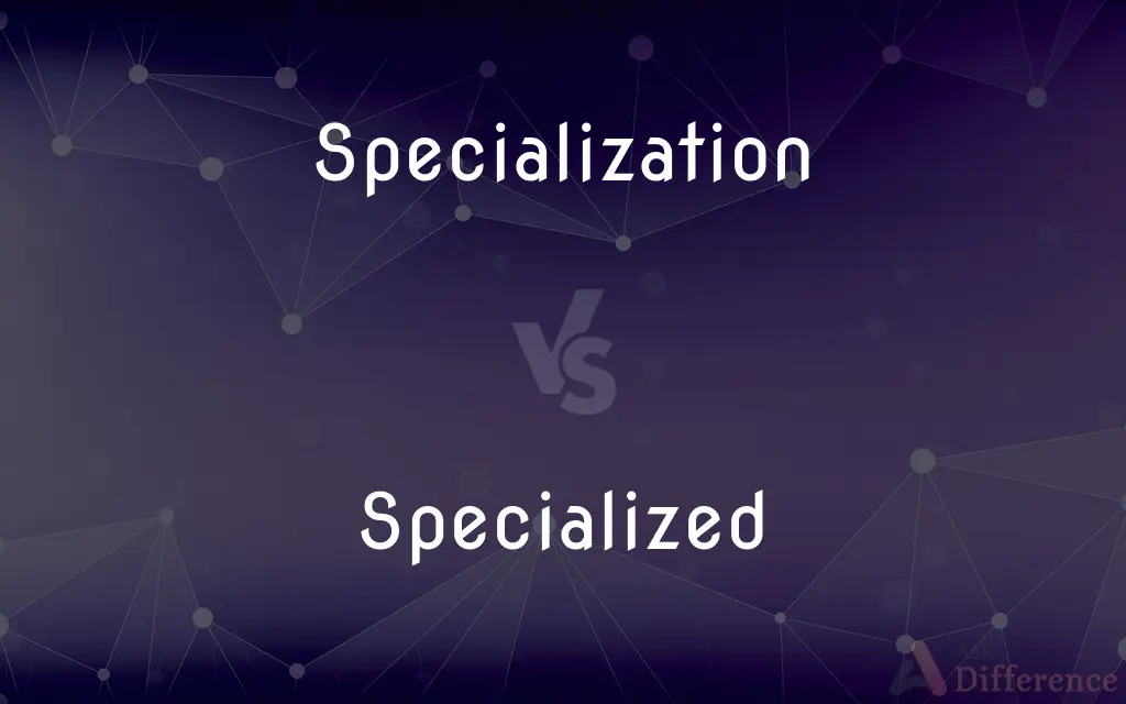Specialization vs. Specialized — What's the Difference?