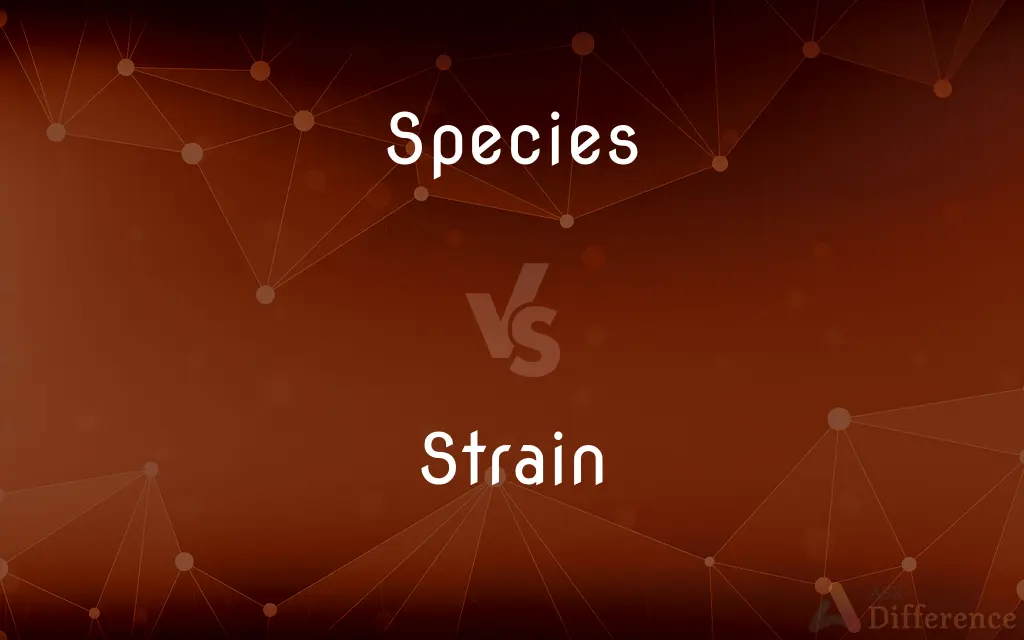 Species vs. Strain — What's the Difference?