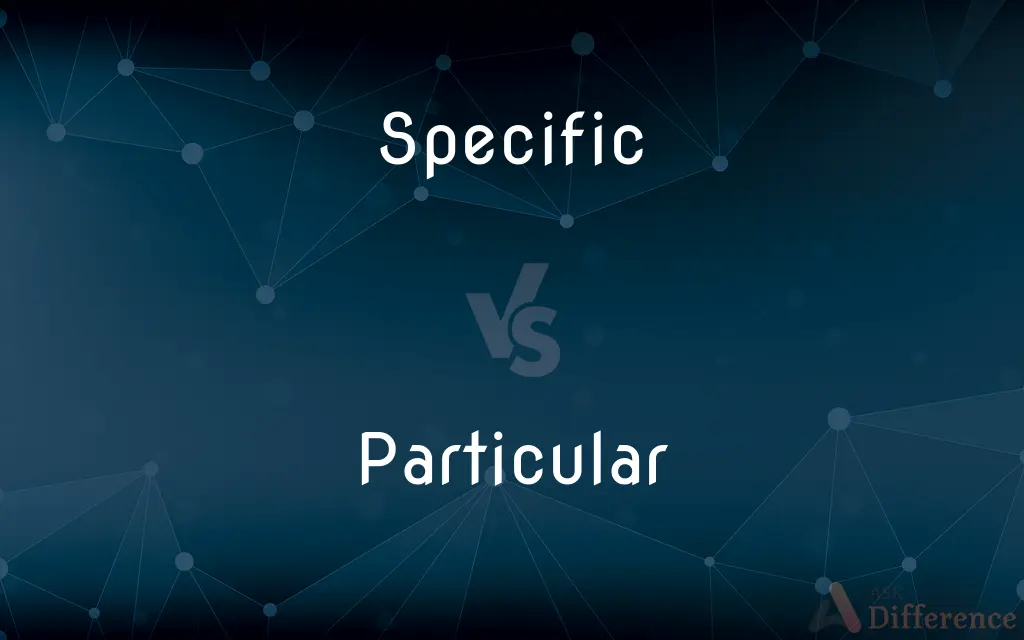 Specific vs. Particular — What's the Difference?