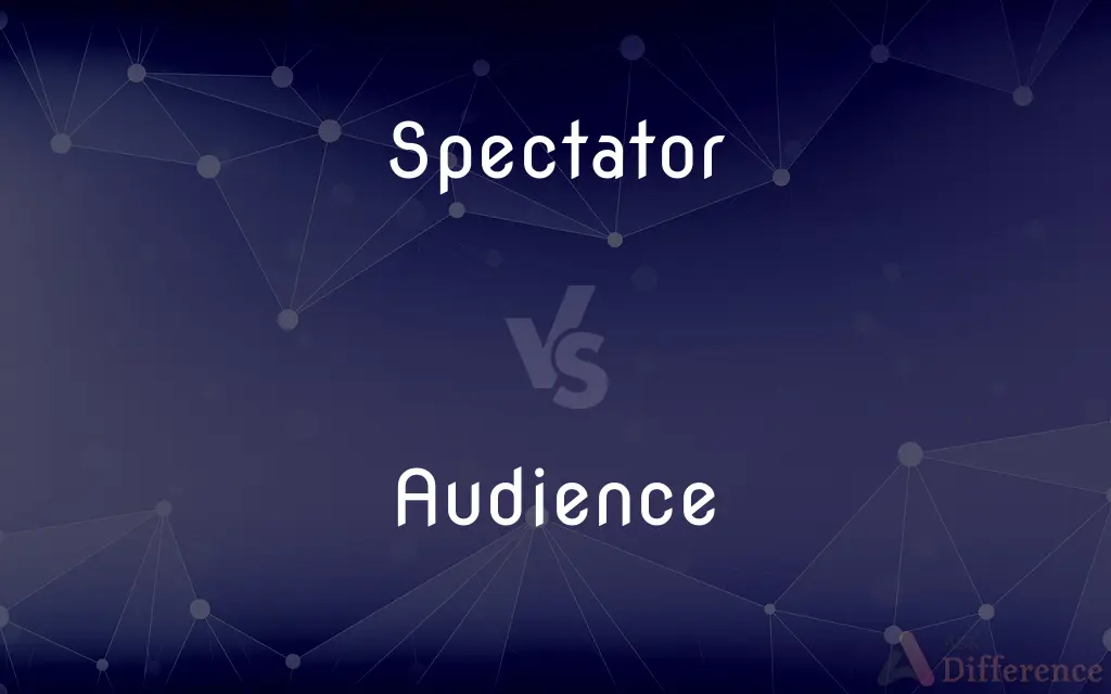 Spectator vs. Audience — What's the Difference?