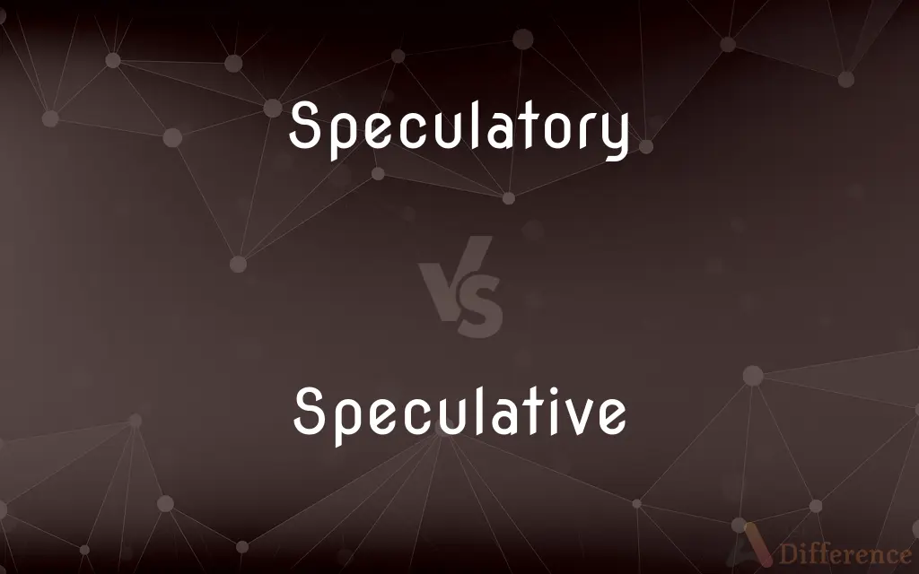 Speculatory vs. Speculative — What's the Difference?