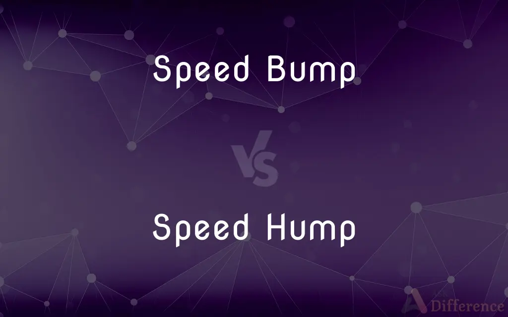 Speed Bump vs. Speed Hump — What's the Difference?