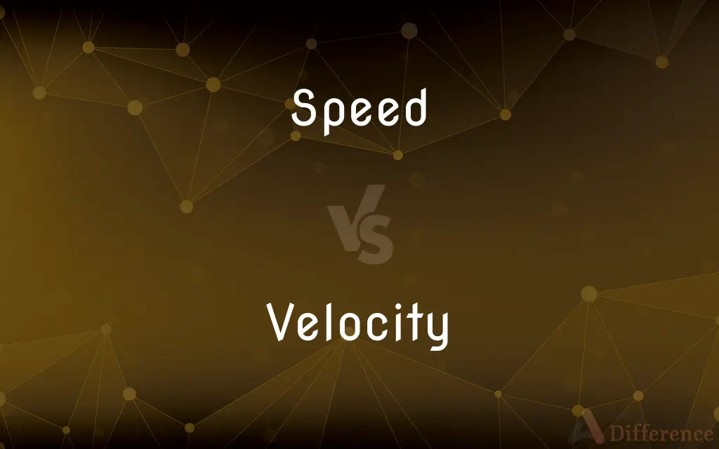 Speed vs. Velocity — What's the Difference?