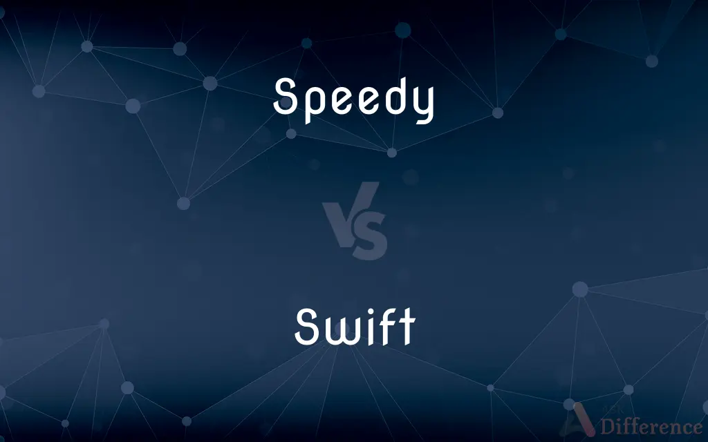 Speedy vs. Swift — What's the Difference?