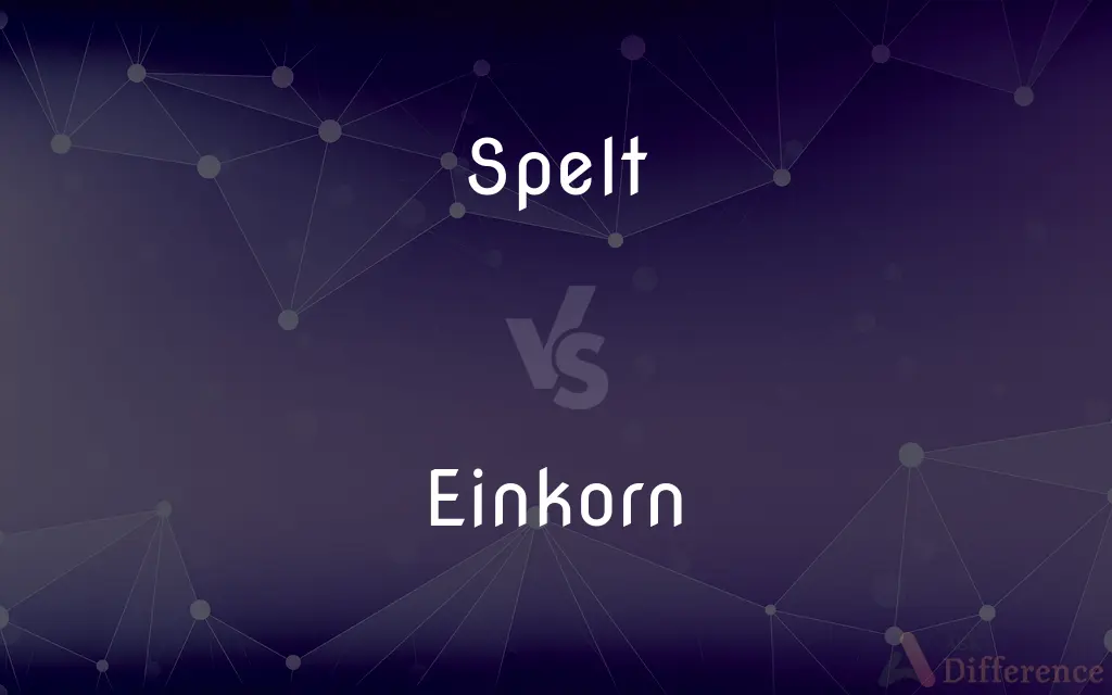 Spelt vs. Einkorn — What's the Difference?