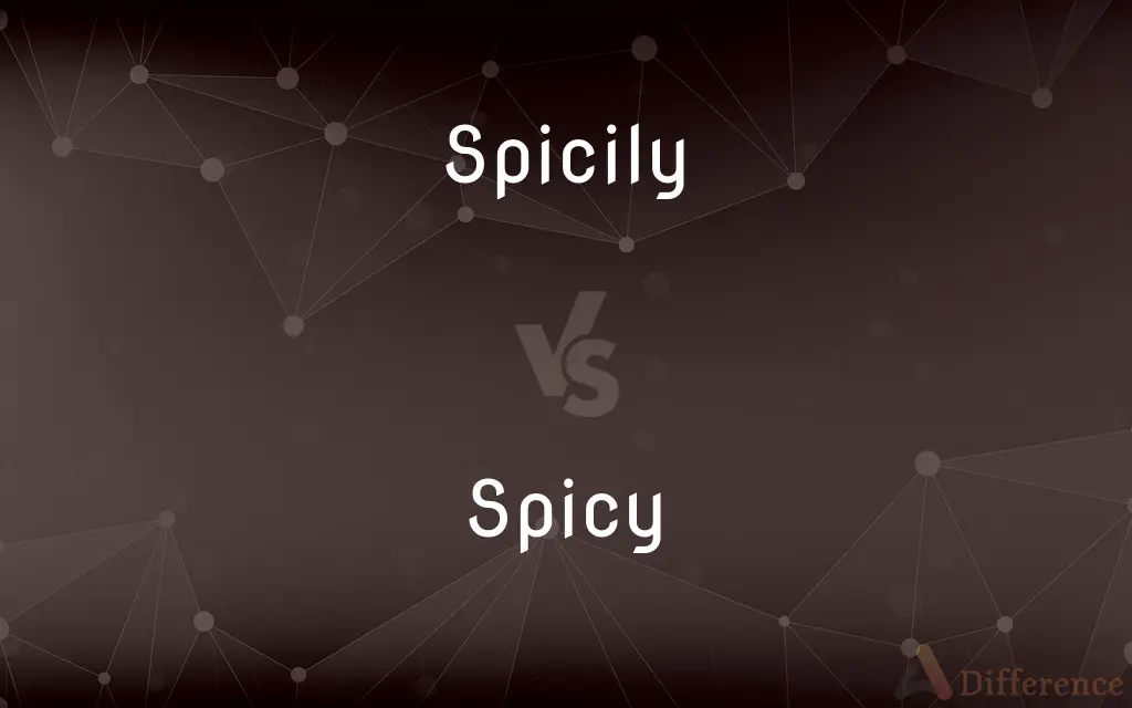 Spicily vs. Spicy — What's the Difference?