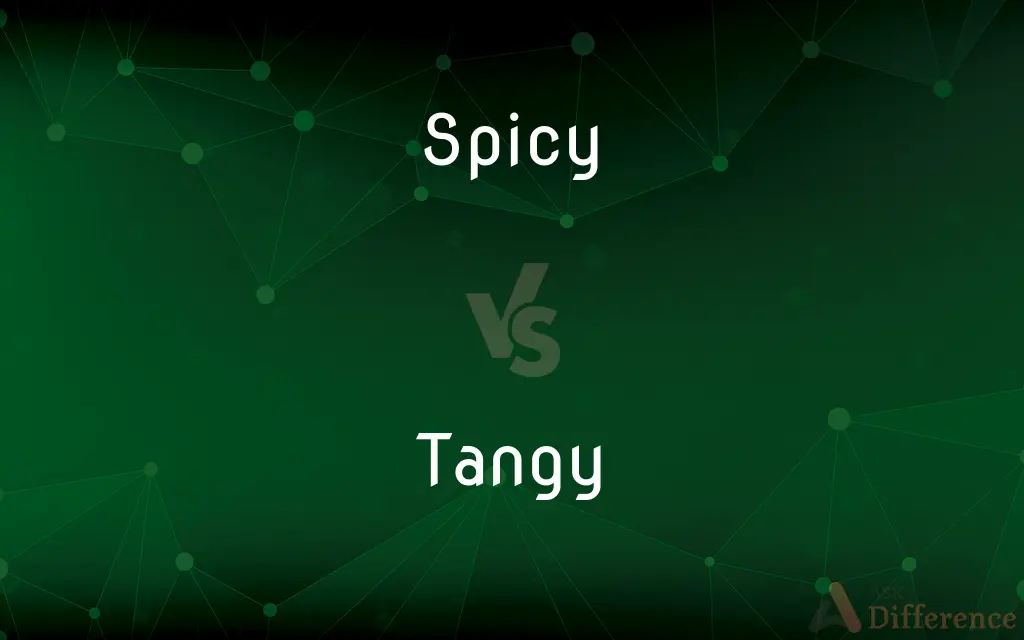 Spicy vs. Tangy — What's the Difference?