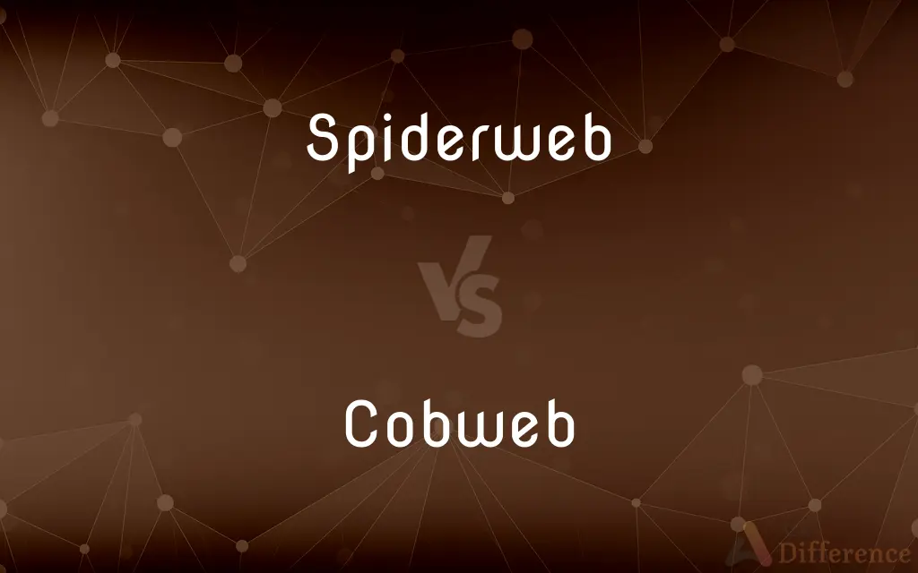 Spiderweb vs. Cobweb — What's the Difference?
