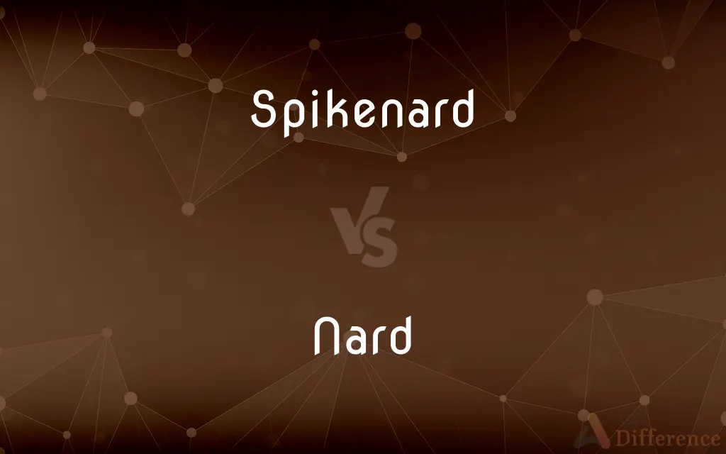 Spikenard vs. Nard — What's the Difference?