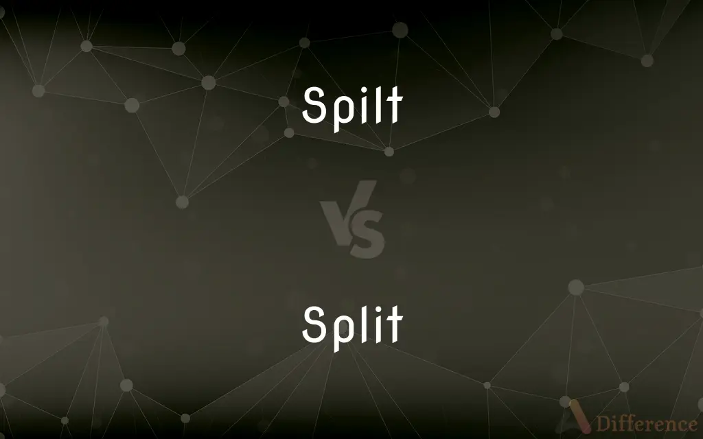 Spilt vs. Split — What's the Difference?