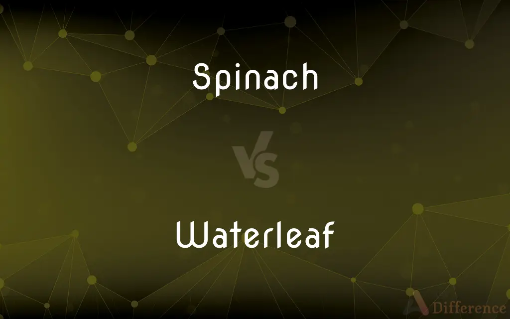 Spinach vs. Waterleaf — What's the Difference?