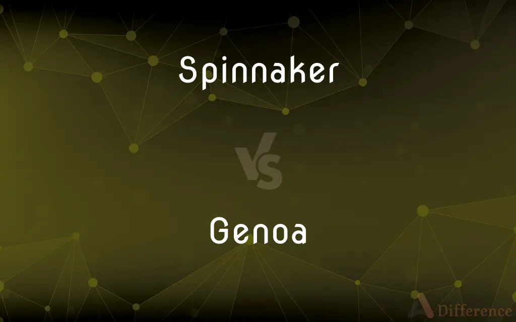 Spinnaker vs. Genoa — What's the Difference?