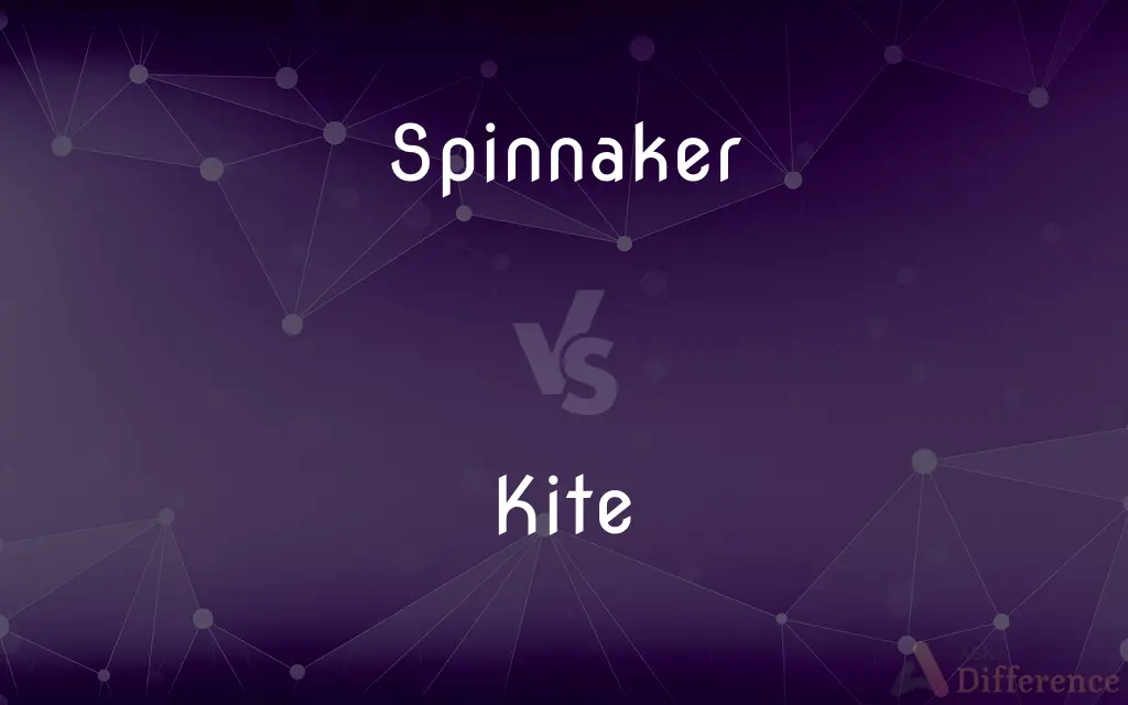 Spinnaker vs. Kite — What's the Difference?