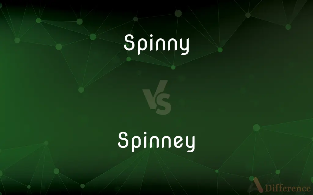 Spinny vs. Spinney — What's the Difference?