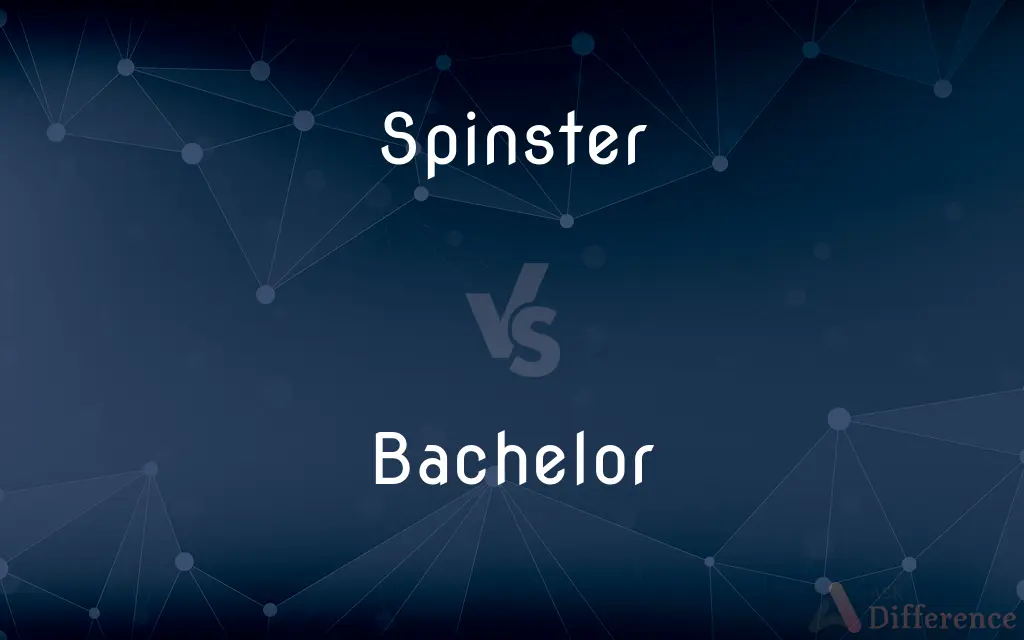 Spinster vs. Bachelor — What's the Difference?