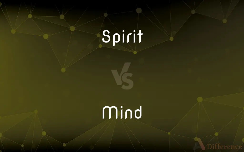 Spirit vs. Mind — What's the Difference?