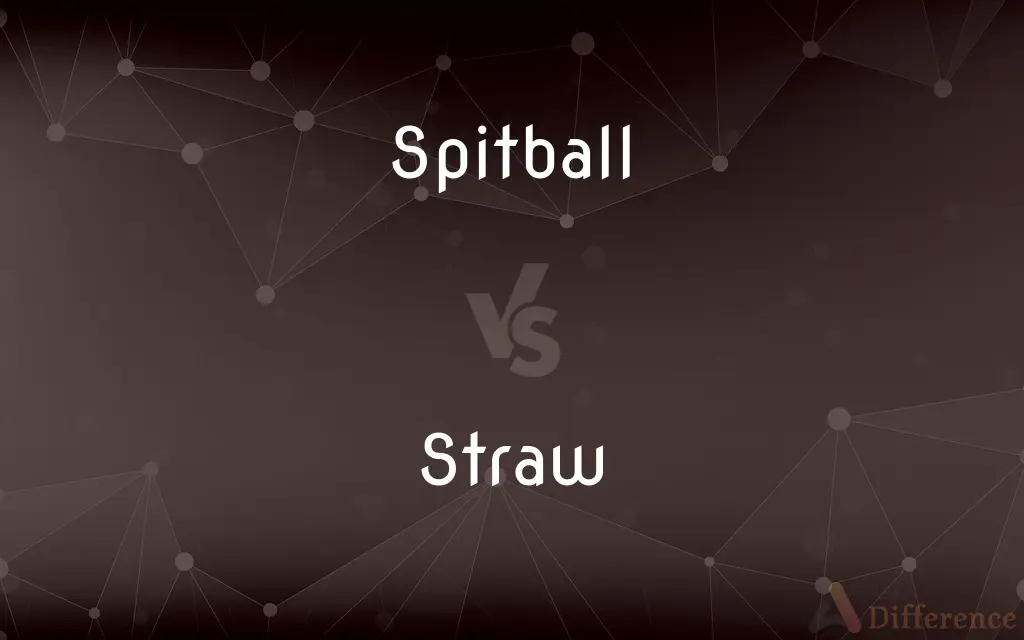 Spitball vs. Straw — What's the Difference?