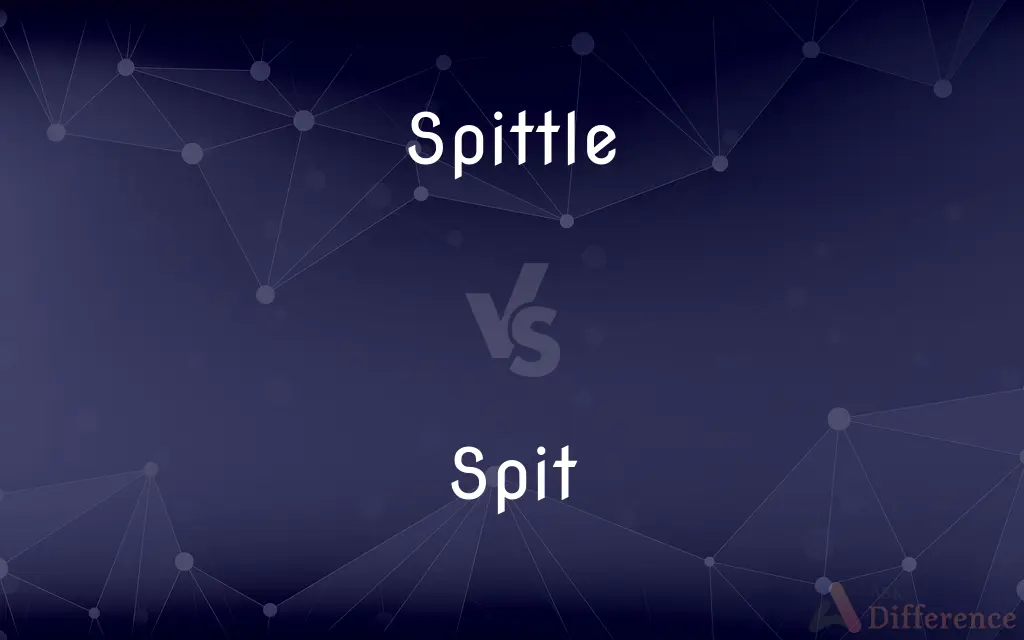 Spittle vs. Spit — What's the Difference?
