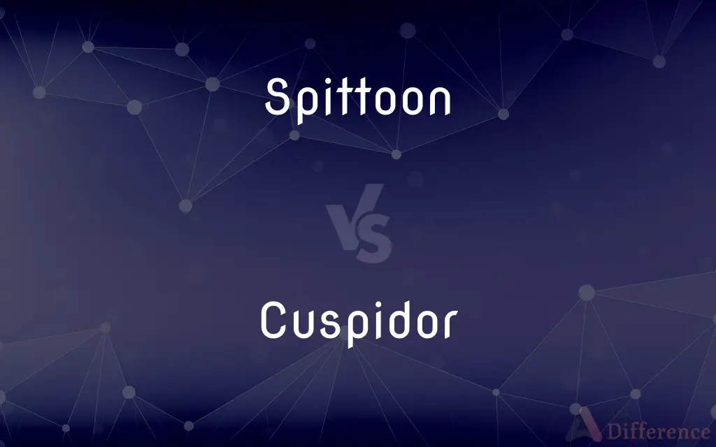 Spittoon vs. Cuspidor — What's the Difference?