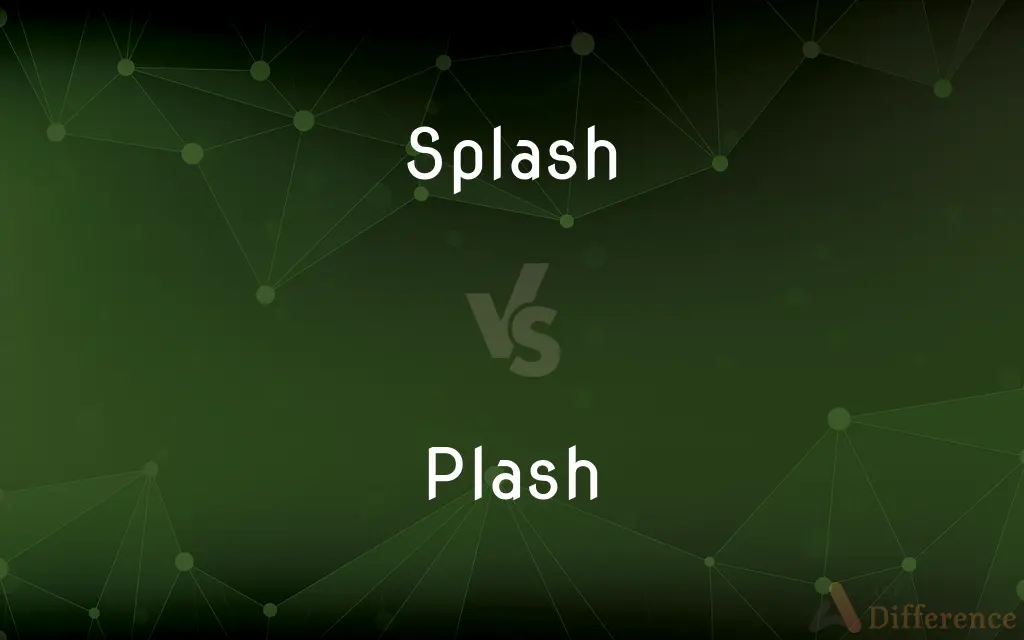 Splash vs. Plash — What's the Difference?
