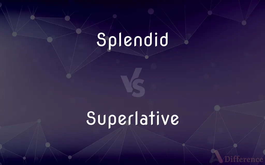 Splendid vs. Superlative — What's the Difference?