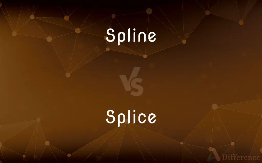 Spline vs. Splice — What's the Difference?