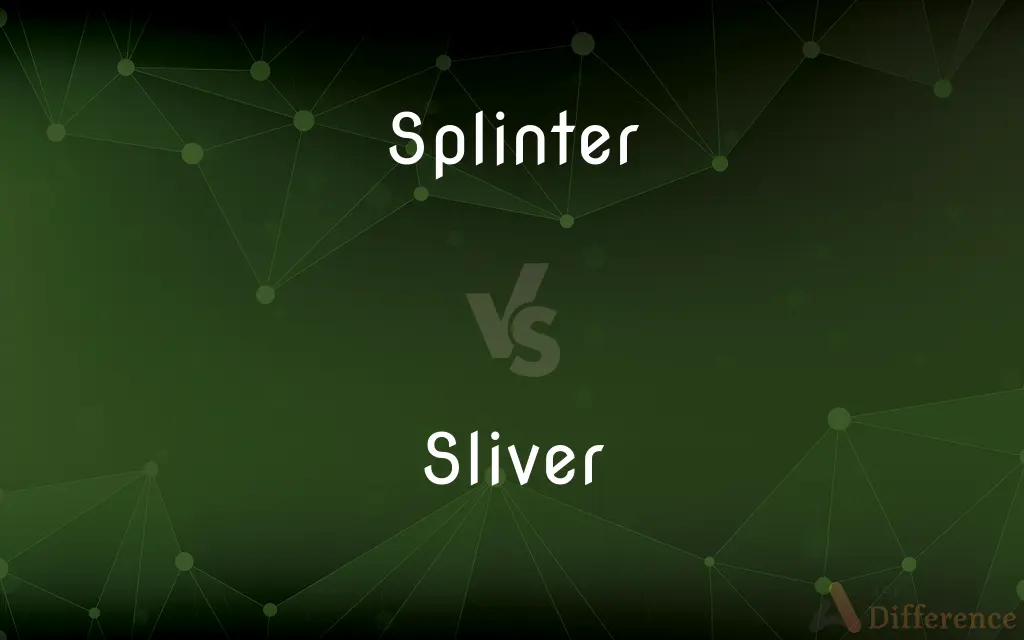 Splinter vs. Sliver — What's the Difference?
