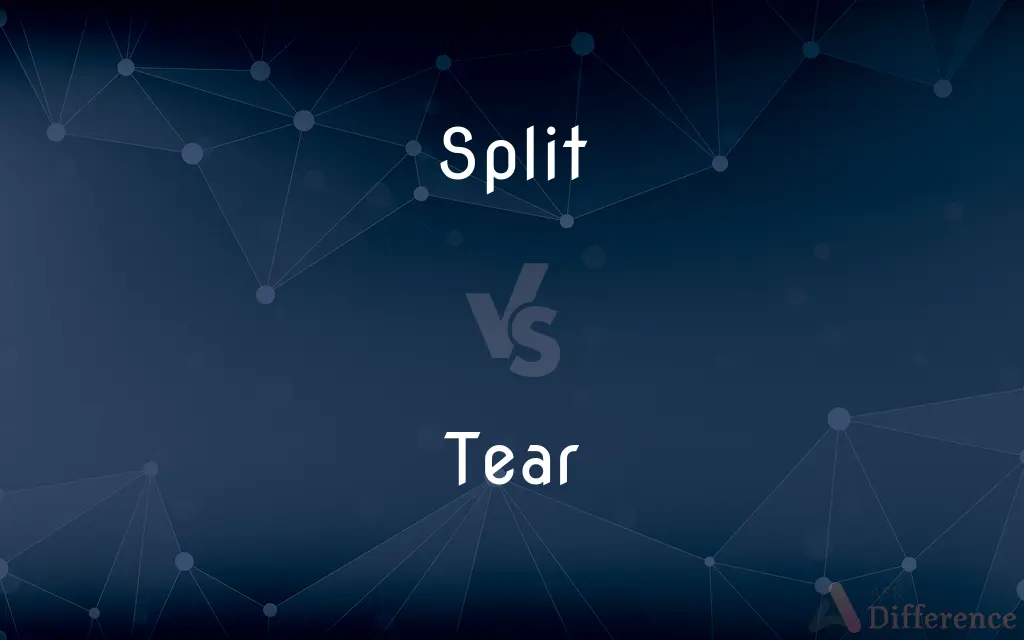 Split vs. Tear — What's the Difference?