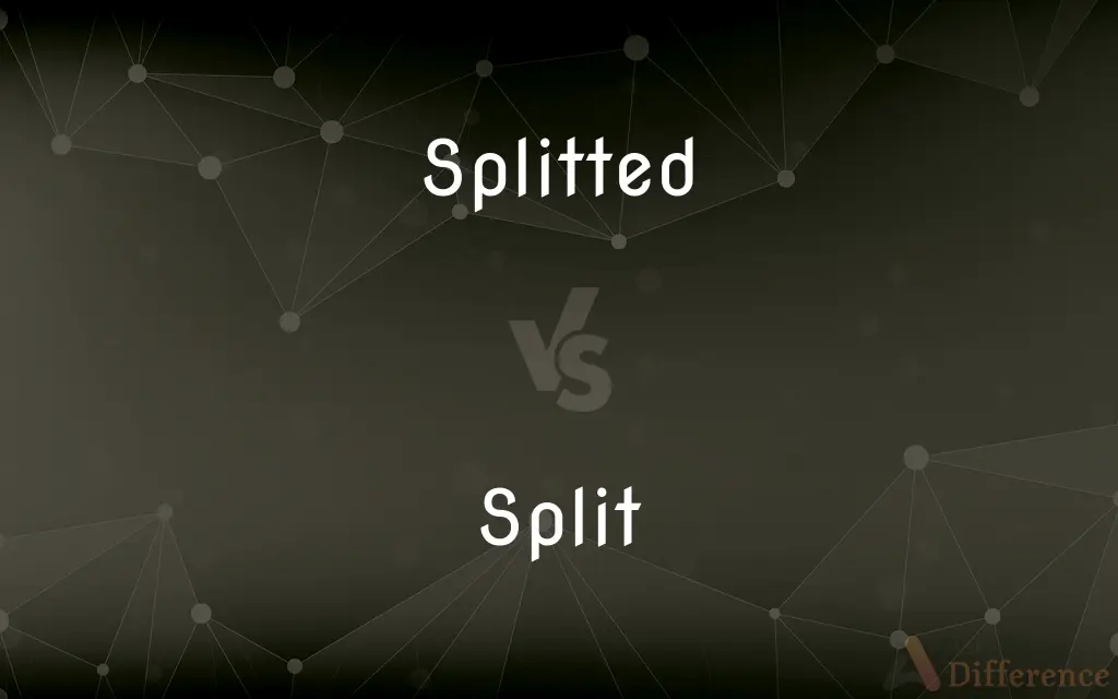 Splitted vs. Split — Which is Correct Spelling?
