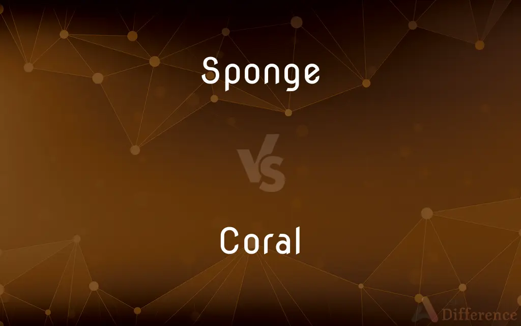 Sponge vs. Coral — What's the Difference?