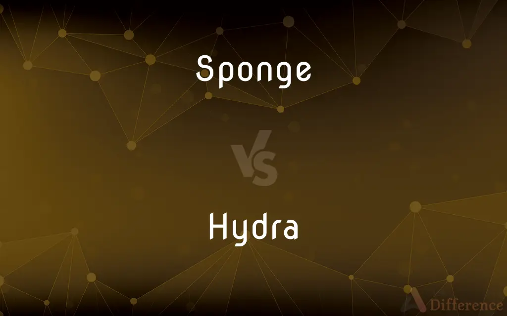 Sponge vs. Hydra — What's the Difference?