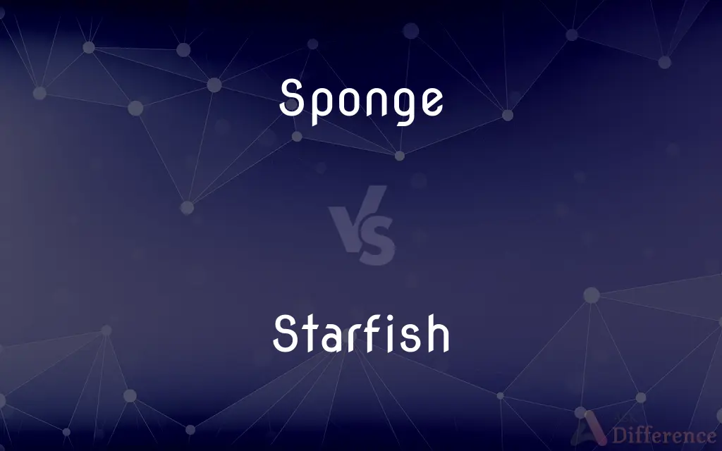 Sponge vs. Starfish — What's the Difference?