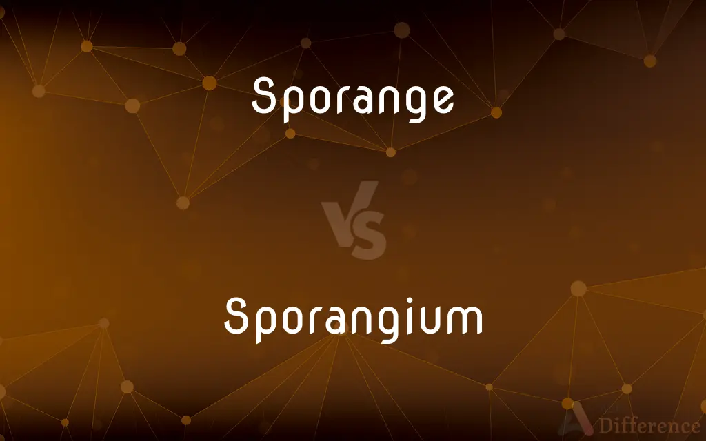 Sporange vs. Sporangium — What's the Difference?